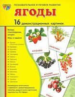 Сфера Ягоды 16 демонстрационных картинок Познавательное и речевое развитие