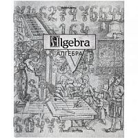 Тетрадь 48 листов BRAUBERG предм серия SILVER/Алгебра 404012