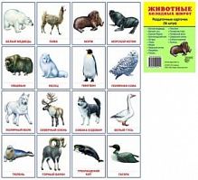 Животные холодных широт 16 раздаточных карточек 63*87мм Сфера