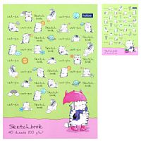 Блокнот Sketchbook Hatber А5 23689 40 листов Приключения кота