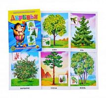 Проф-Пресс Обучающие карточки Деревья