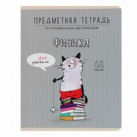 Тетрадь 48 листов Феникс Приключения кота Пифа- Физика