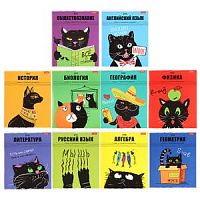 Набор предметных тетрадей 10 шт.48 листов Хатбер Черный кот