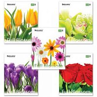 Тетрадь 48 листов BRAUBERG 401808 Цветы