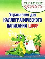 Шамакова Упражнения для каллиграфического написания цифр 