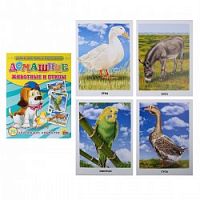 Проф-Пресс Обучающие карточки Домашние животные и птицы